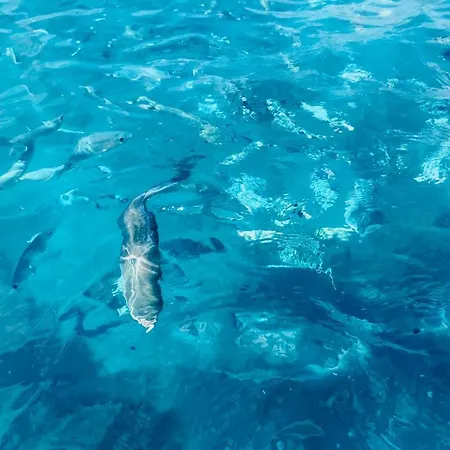 Appartamento Tuffo Nel Blu Capitana, Vacation Ever *