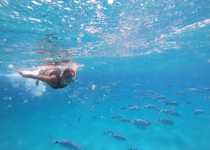 Tuffo Nel Blu Capitana, Vacation Ever *